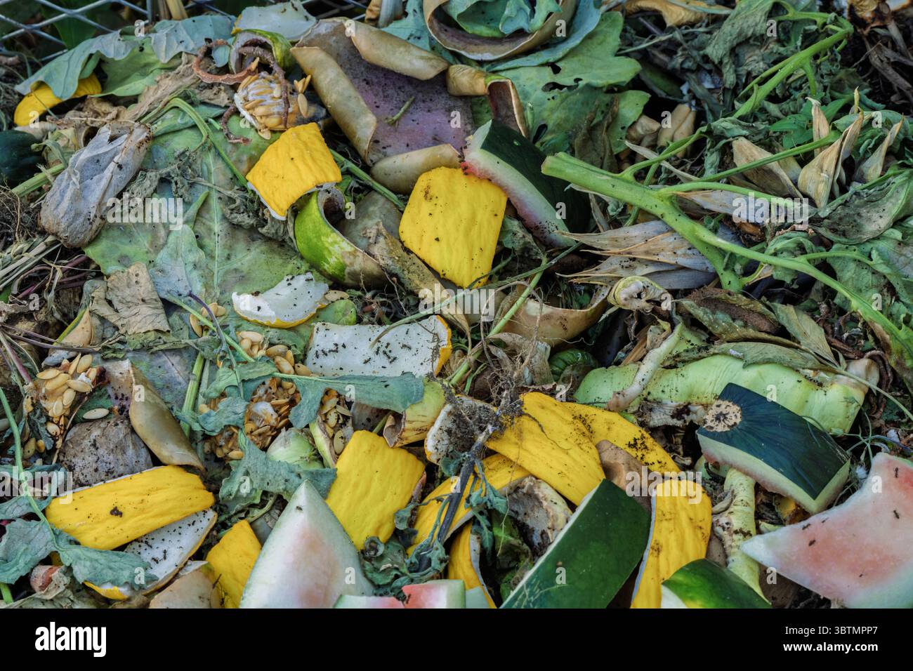 A detailed closeup view showcasing organic waste, bursting with rich ...
