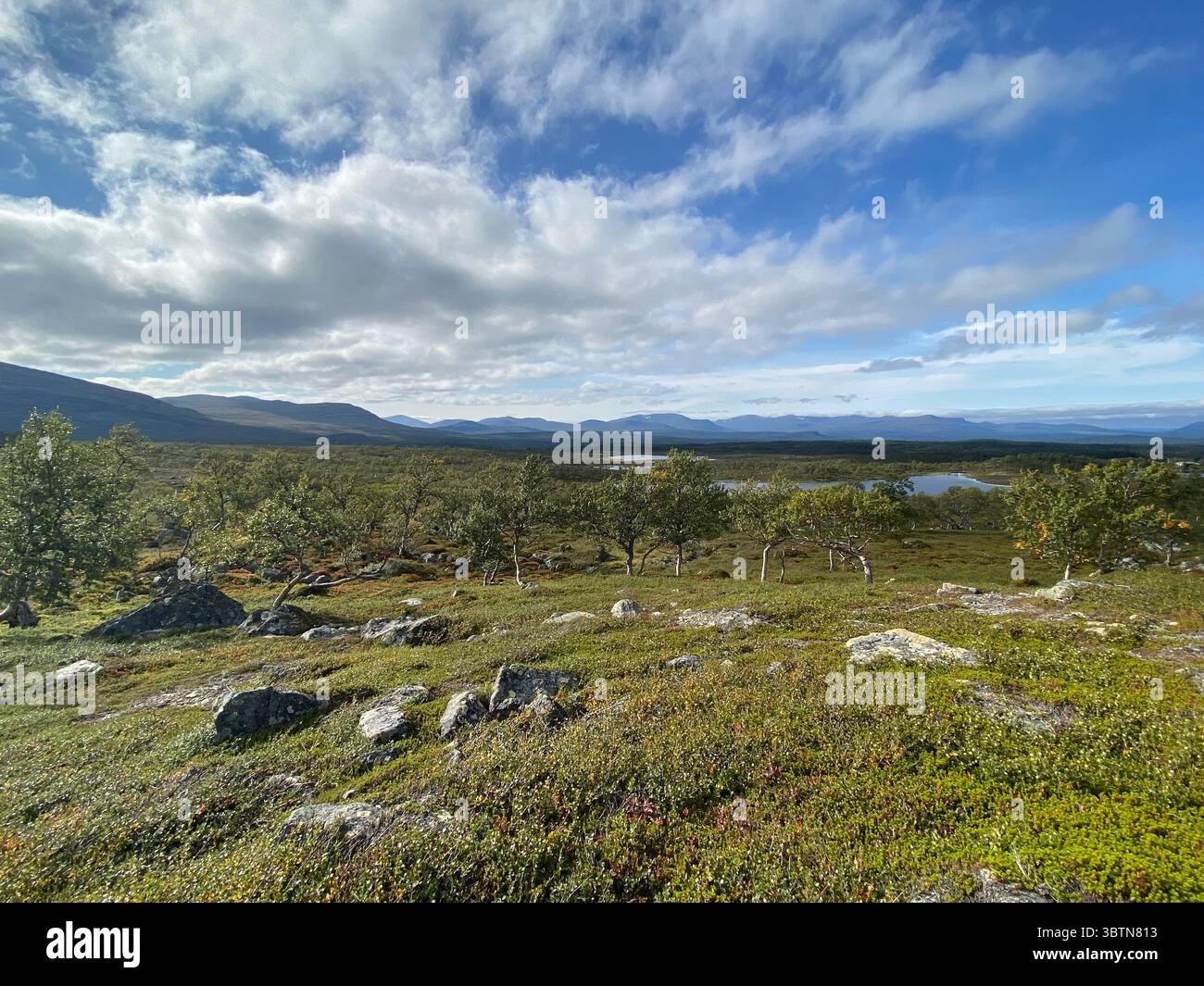 A vast landscape presents rolling hills, trees, and a body of water under a blue sky. - Smartphone Captured Stock Image