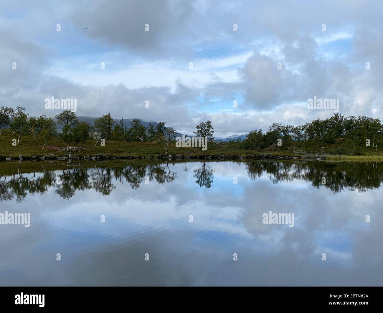 A stunning reflection of trees and clouds in a tranquil lake on a cloudy day. - Smartphone Captured Stock Image