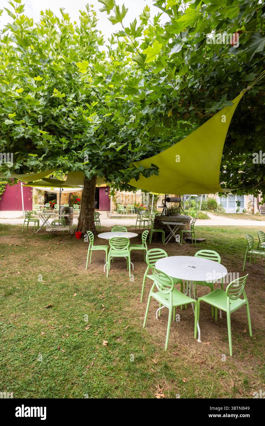 Green plastic chairs and white round tables standing on the grass under a big sycamore tree in a cafe in Saint Jean de Cole, Dordogne, Nouvelle Aquita Stock Photo