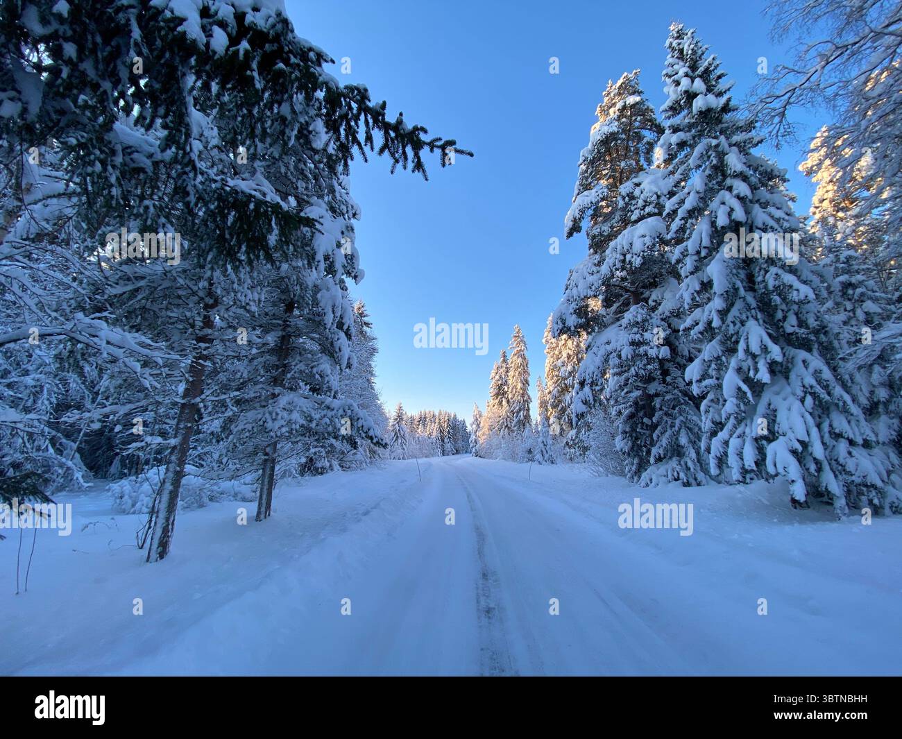 A picturesque winter scene with a snow-covered road through a forest. - Smartphone Captured Stock Image