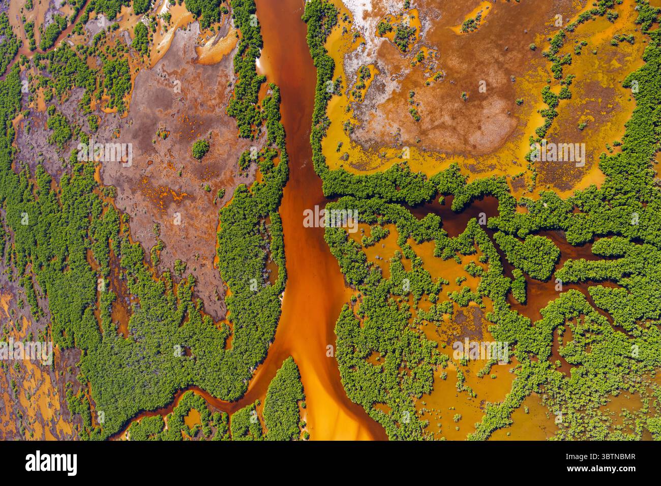 Aerial view of the river snaking through vibrant green mangroves and ...