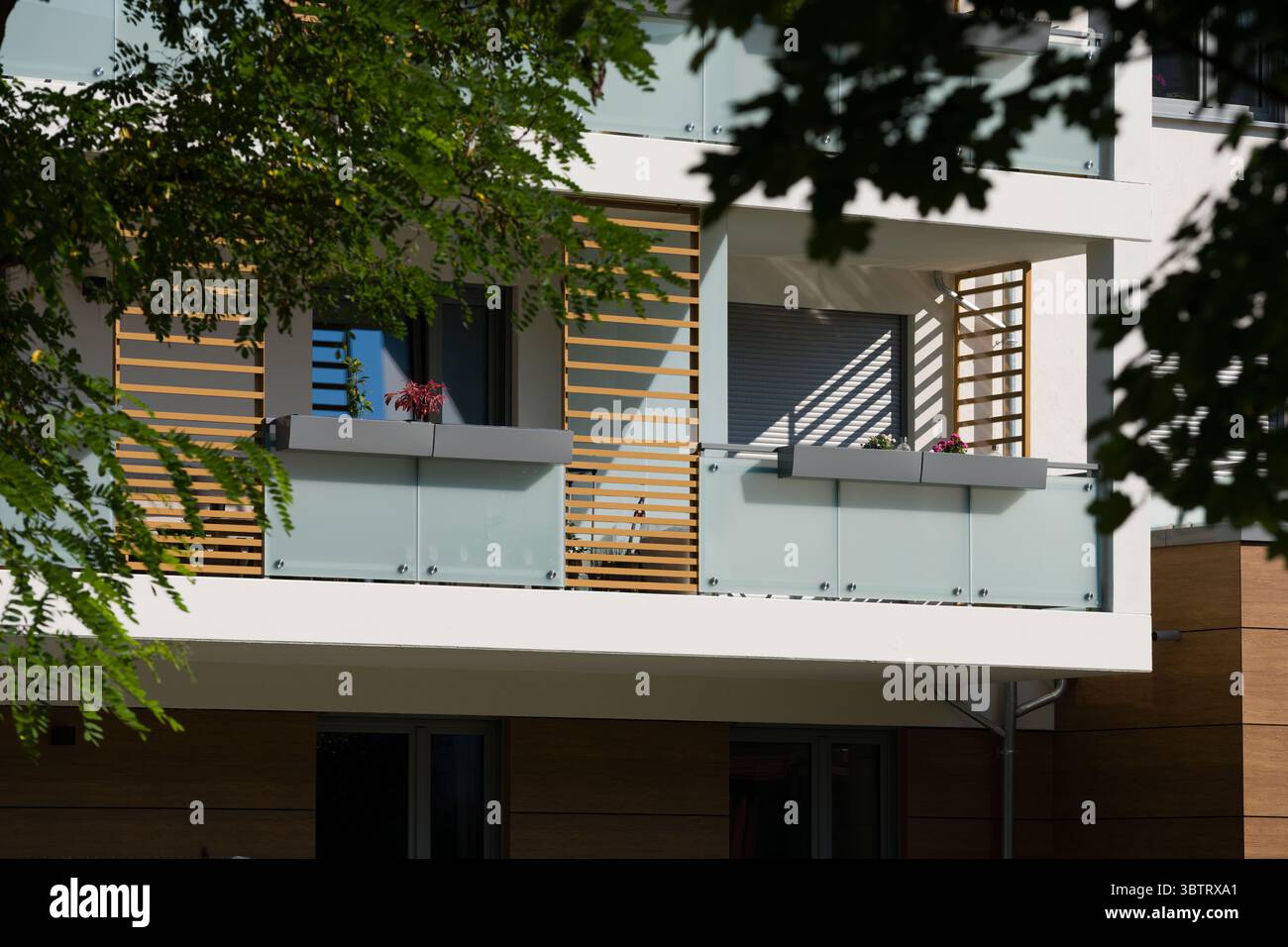 Curated visual reference: Fresh Look at Exterior Of A Modern Apartment Building On A Sunny Day