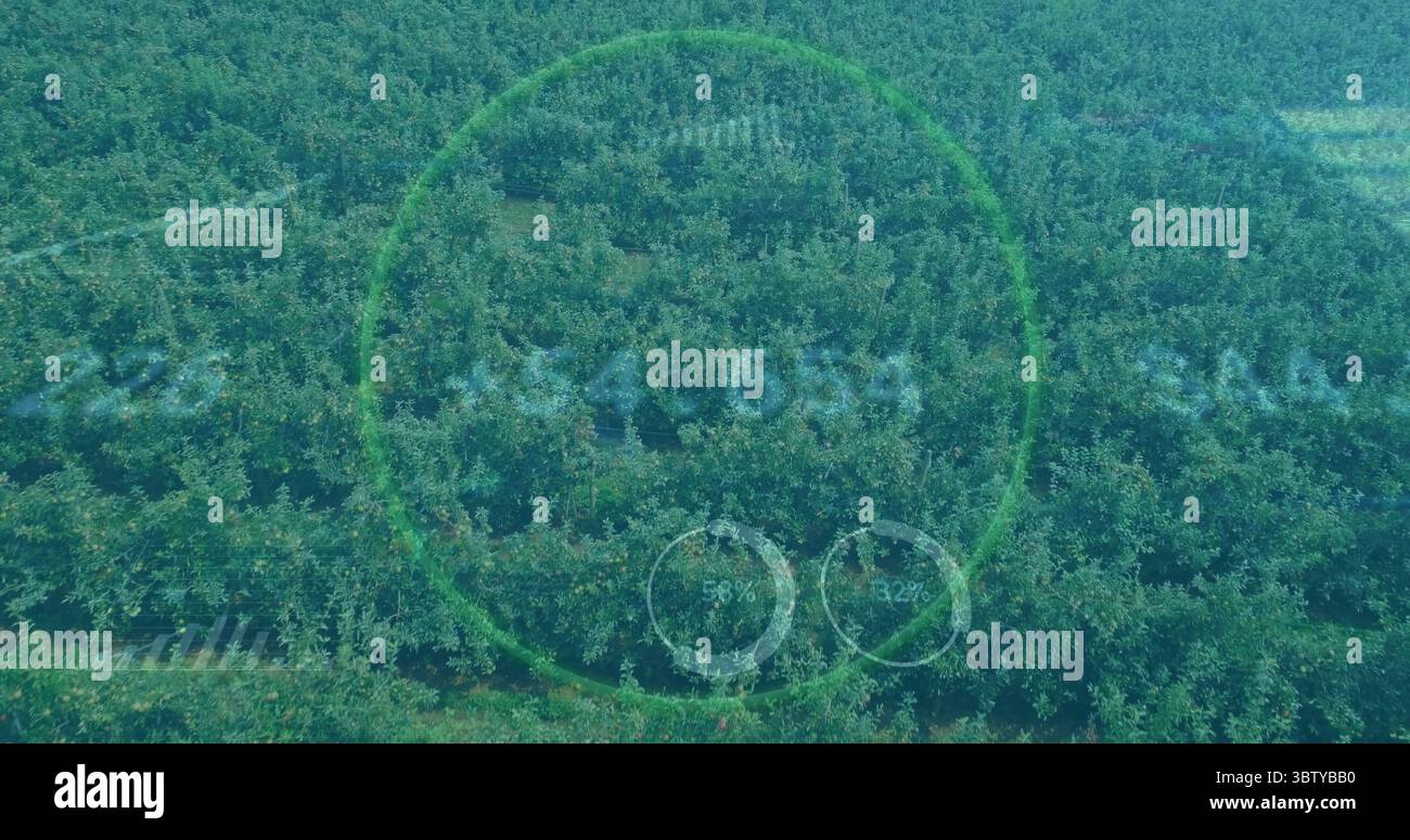 Displaying aerial orchard rows reaching horizon at orchard, showing HUD ...