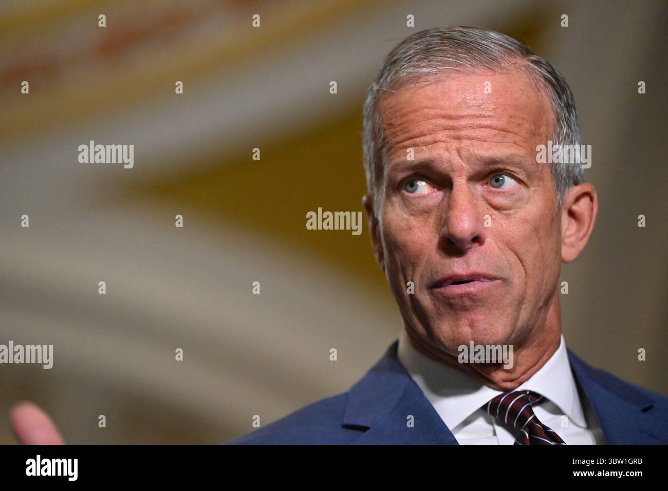 United States Senate Majority Leader John Thune (Republican of South ...
