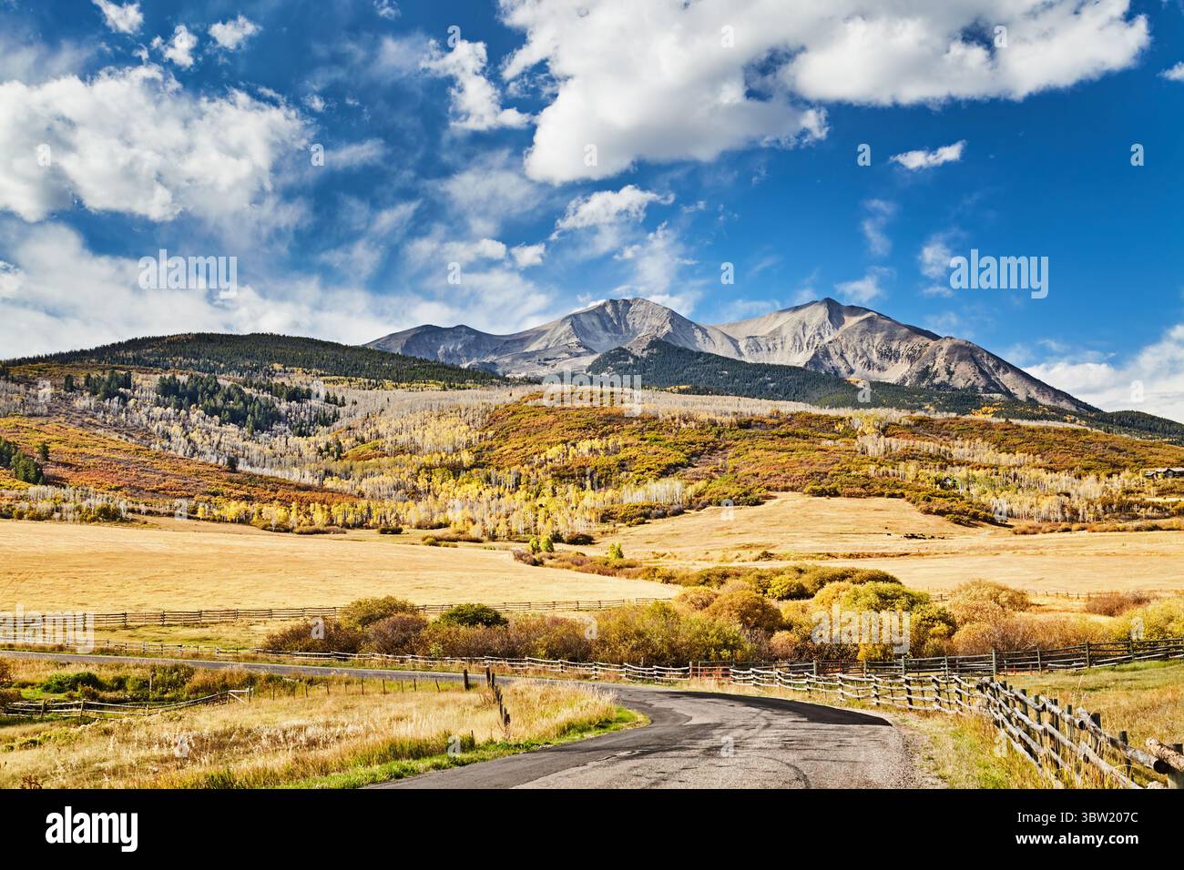 West Beckwith Mountain, Gunnison National Forest, West Elk Mountains, Colorado, USA Stock Photo
