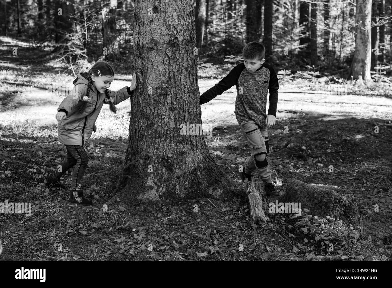 Two children, a boy and a girl, engage in playful hide-and-seek around a large tree trunk in a wooded area. The black and white image enhances the nat Stock Photo