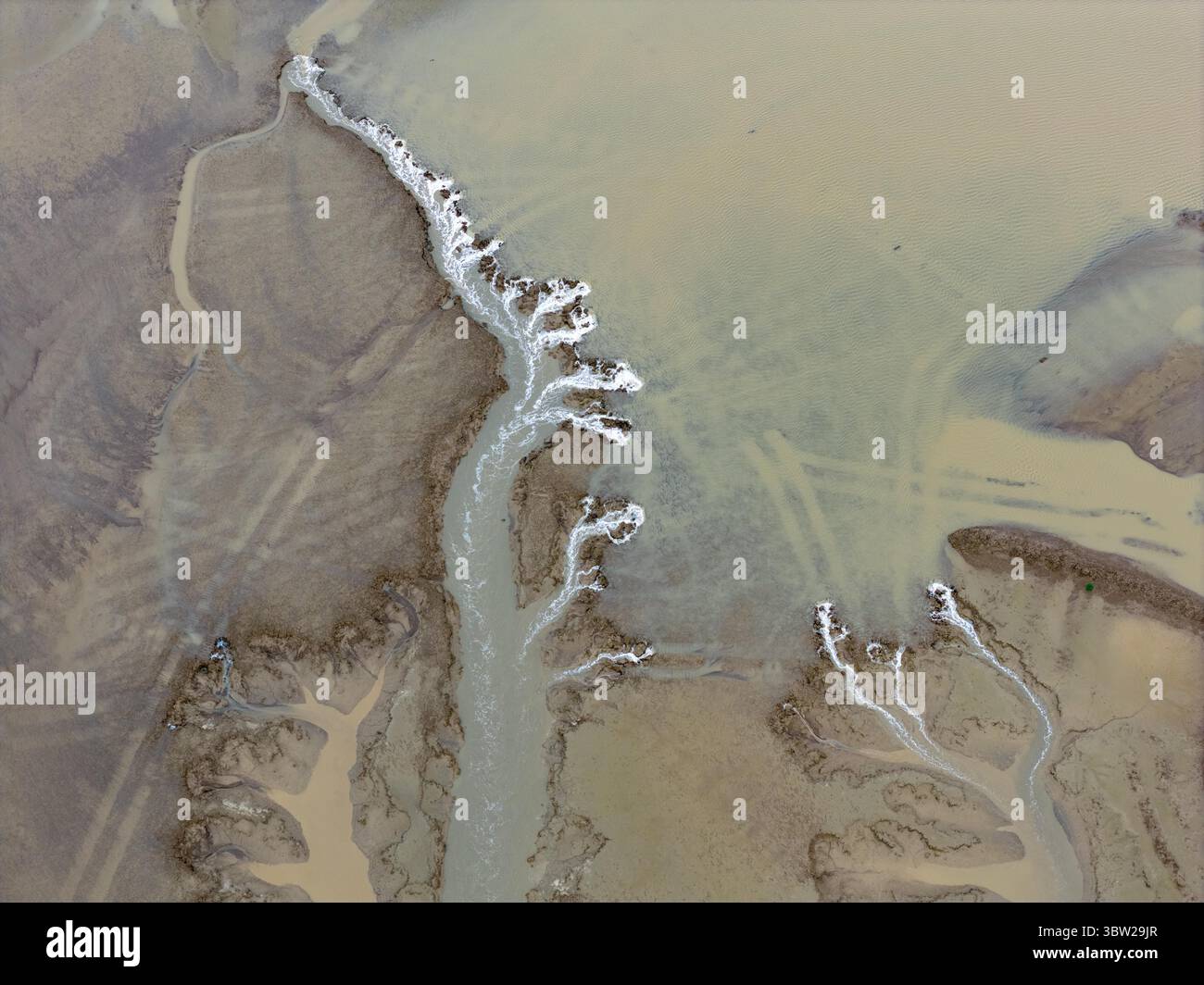 Aerial photo shows the tide-formed trees of Huanghai Sea in Yancheng ...