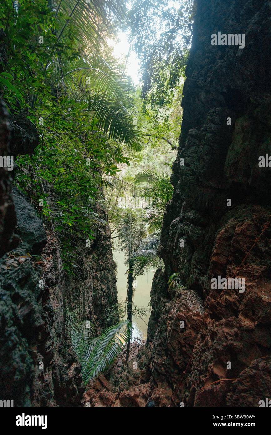 Lush vegetation surrounds narrow hi-res stock photography and images ...