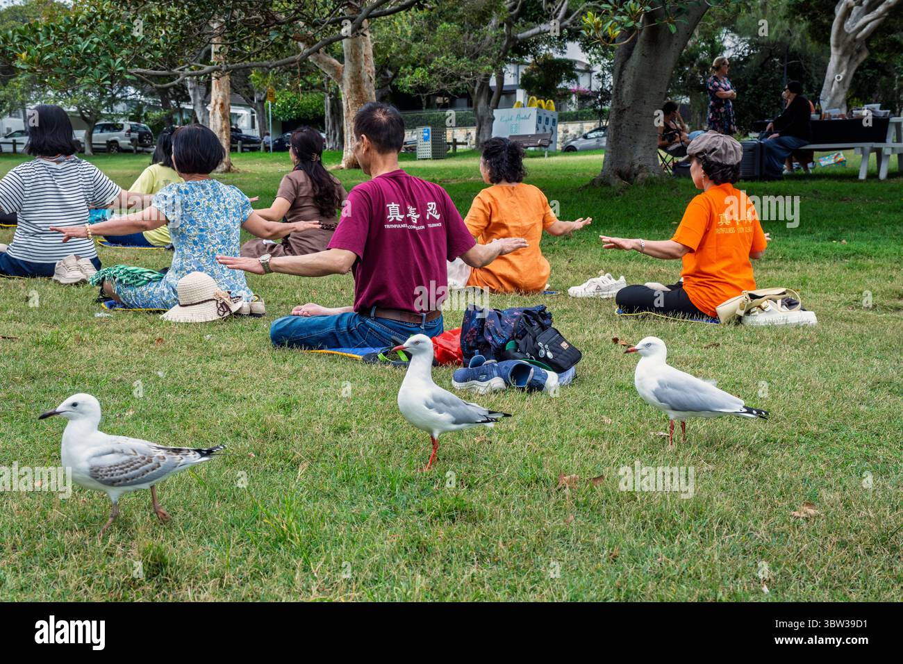 A Chinese Falun Dafa group doing exercises and meditation in Robertson Park, Watsons Bay, Sydney, Australia Stock Photo