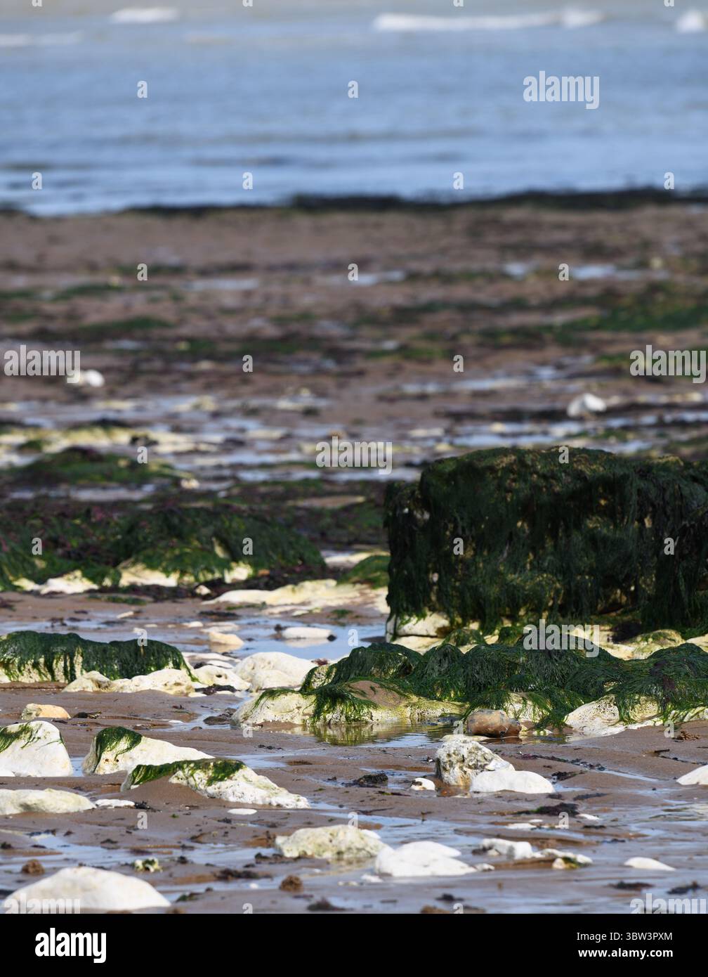 Botany Bay Broadstairs Kent Stock Photo - Alamy
