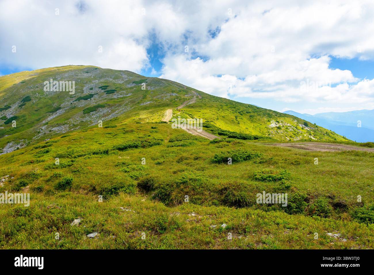 wonderful mountain landscape with rolling hills. great view from mountain petros. summer outdoor adventure in carpathians. blue sky with fluffy clouds Stock Photo