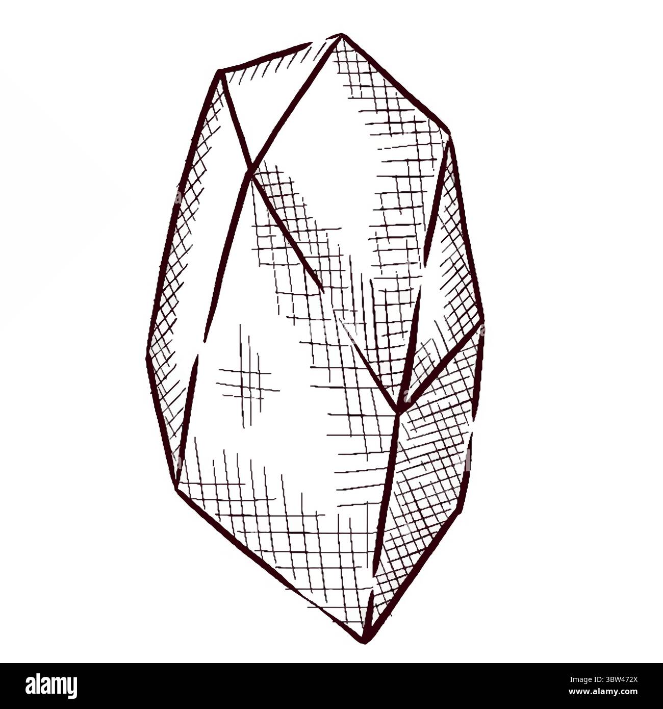 Gemstones and flowers vector illustrations set Stock Vector