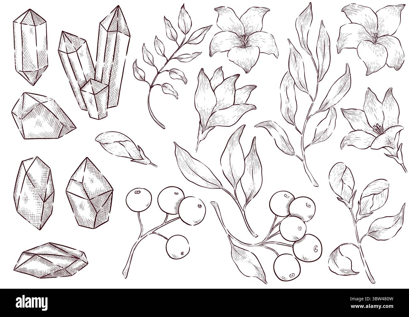 Gemstones and flowers vector illustrations set Stock Vector