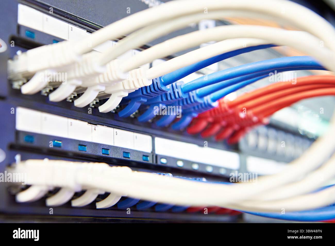 Network cables with connectors on the switch Stock Photo