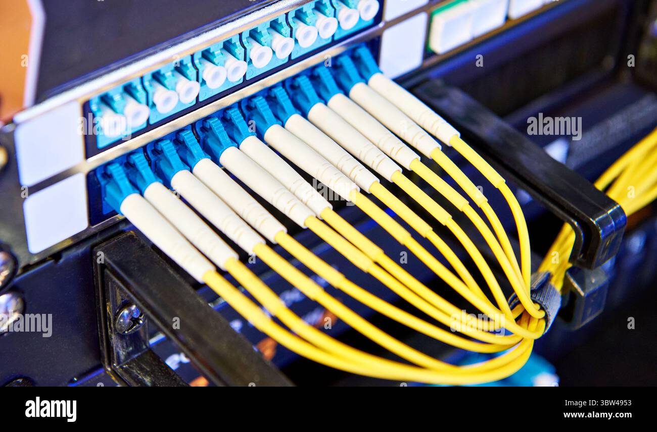 Fiber optic cables with connectors on the switch Stock Photo