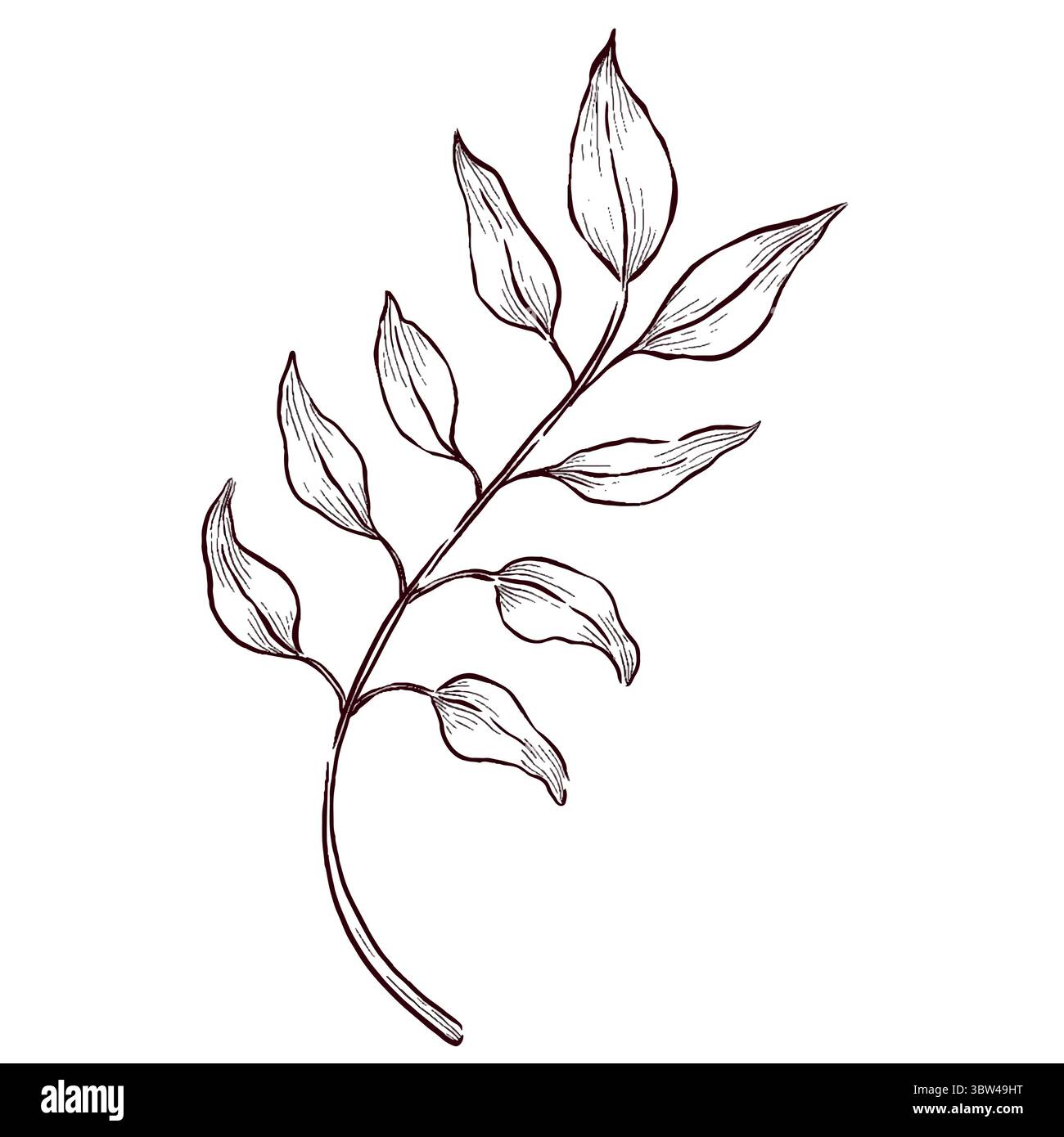 Gemstones and flowers vector illustrations set Stock Vector