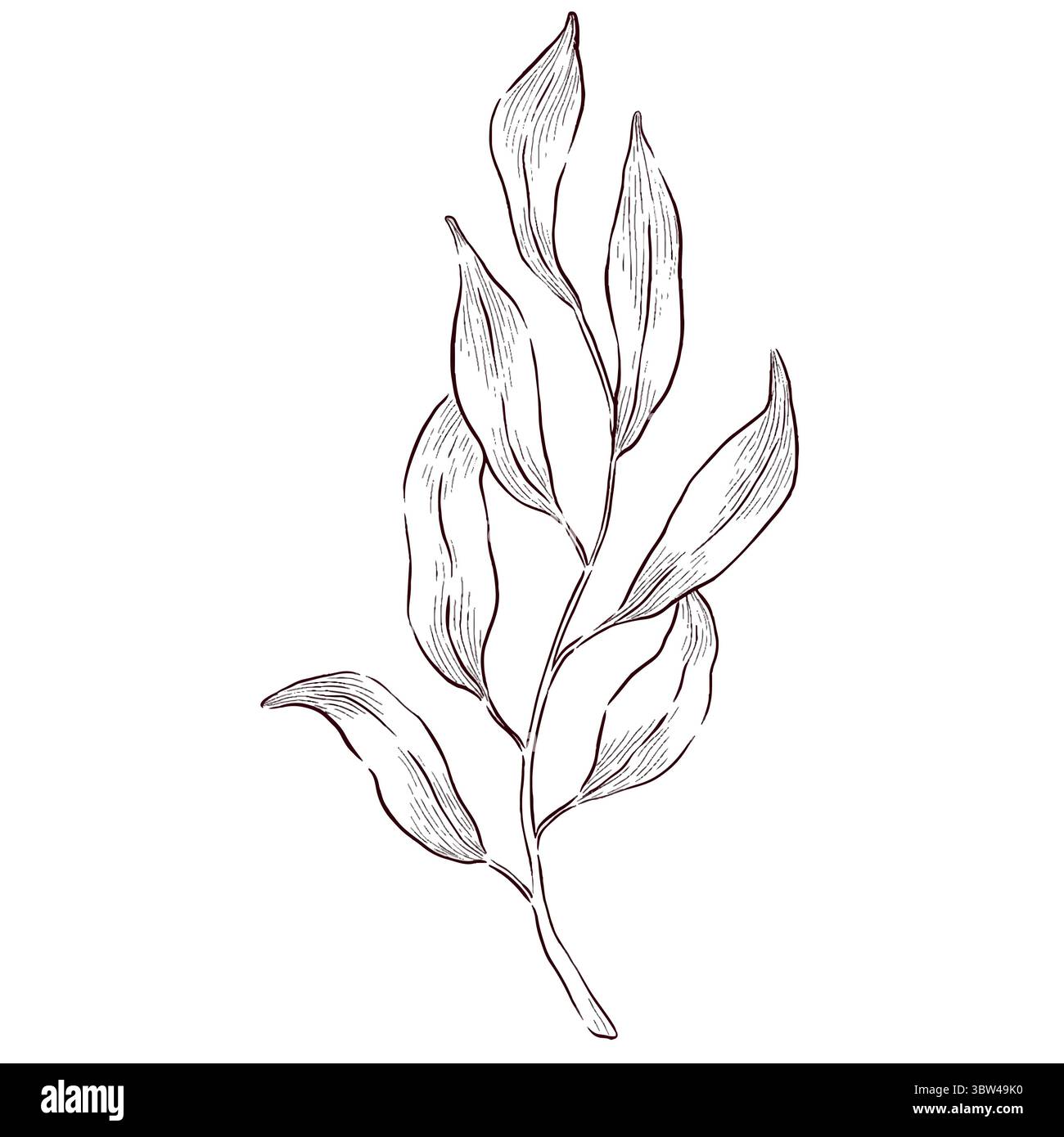 Gemstones and flowers vector illustrations set Stock Vector