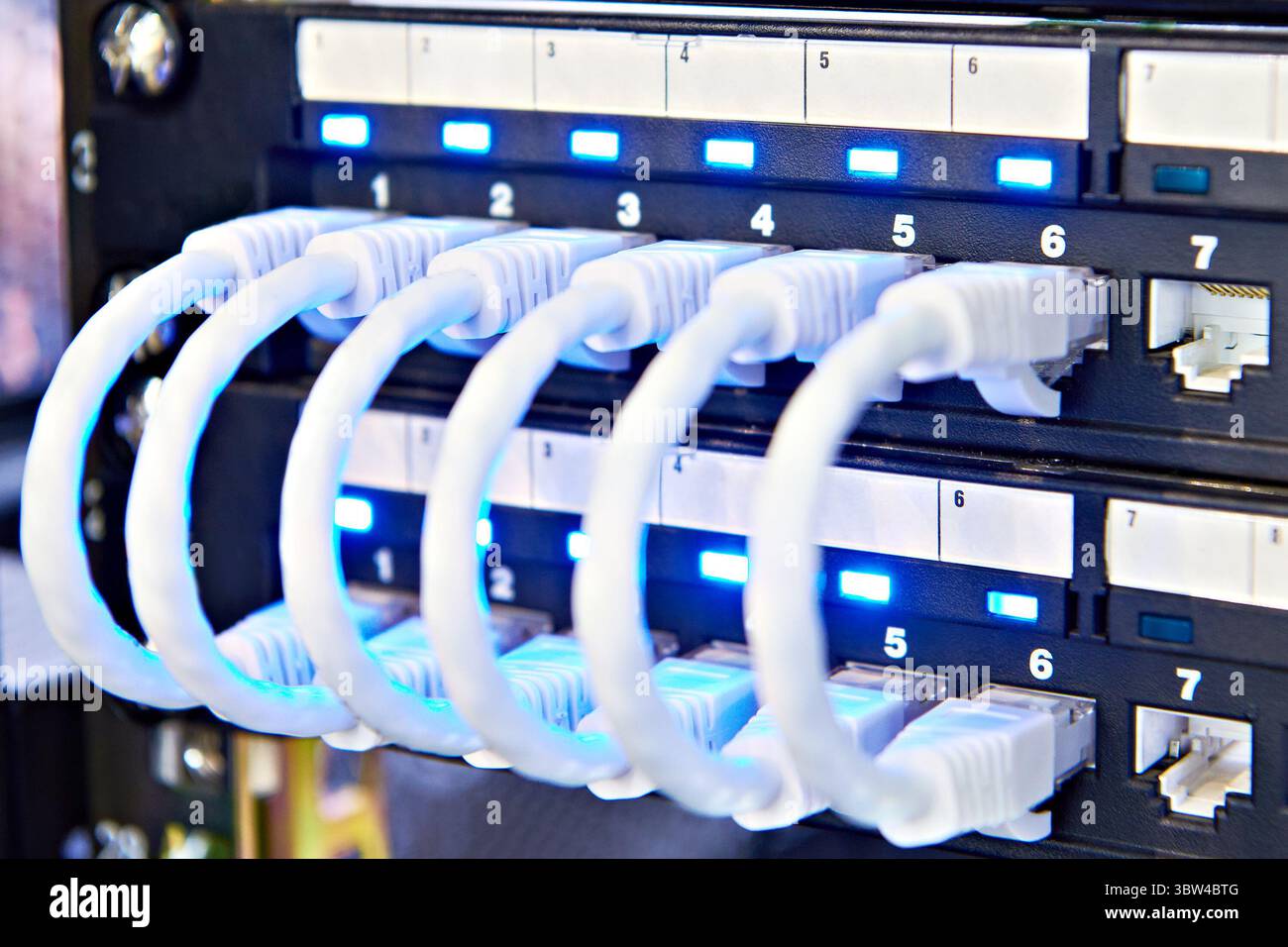 Network cables with connectors on the switch Stock Photo