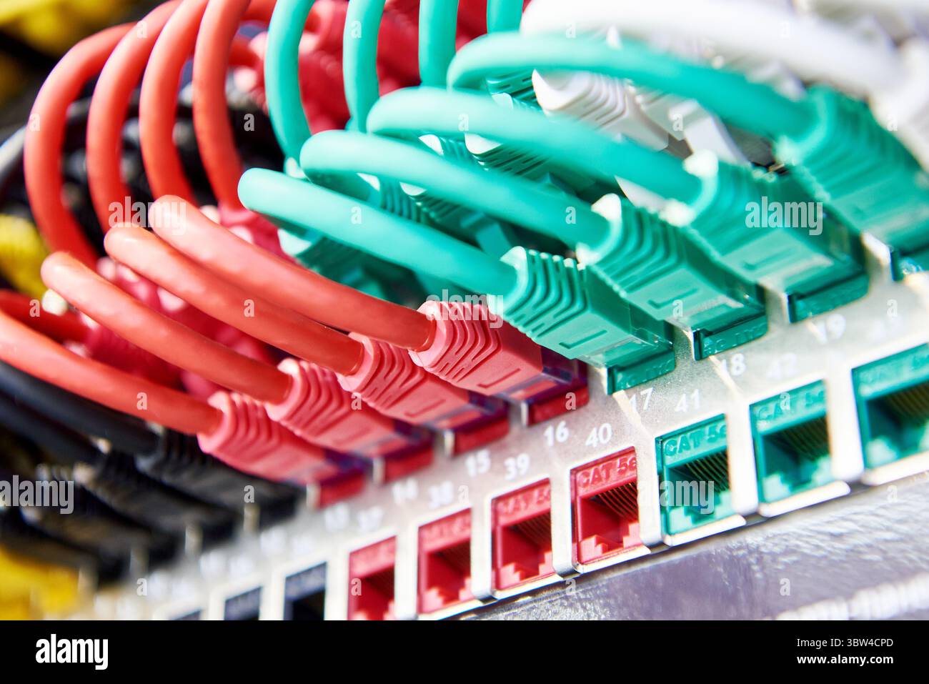 Network cables with connectors on the switch Stock Photo