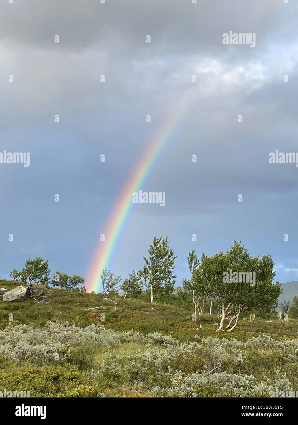 A stunning rainbow stretches across a stormy sky above a lush green landscape. - Smartphone Captured Stock Image