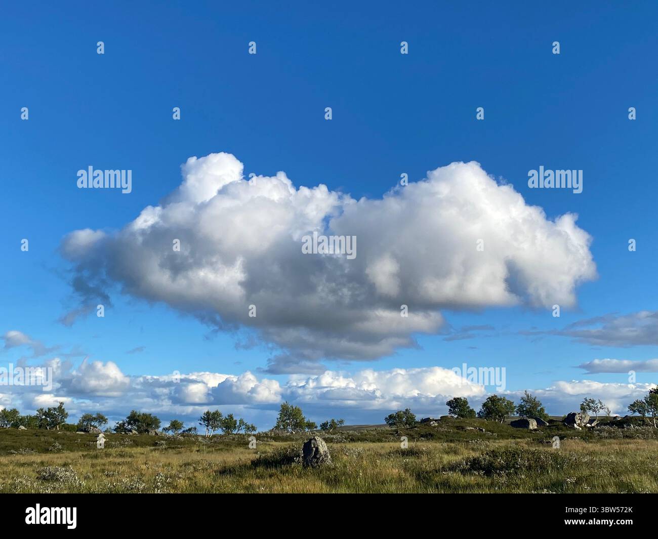 A beautiful sunny day with a fluffy cloud over a green field under a blue sky. - Smartphone Captured Stock Image