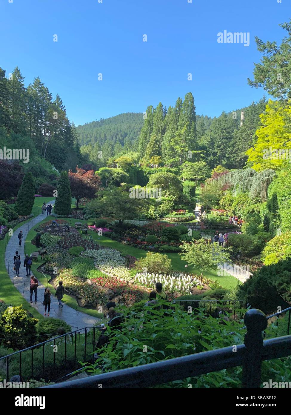 Lush pathways hi-res stock photography and images - Alamy