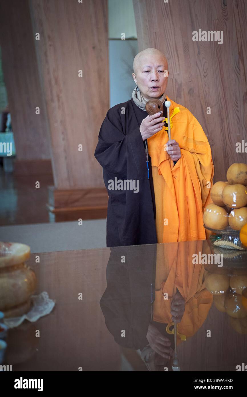 A Buddhist nun with a small percussive instrument at a prayer service in a monastery in upstate New York. Stock Photo
