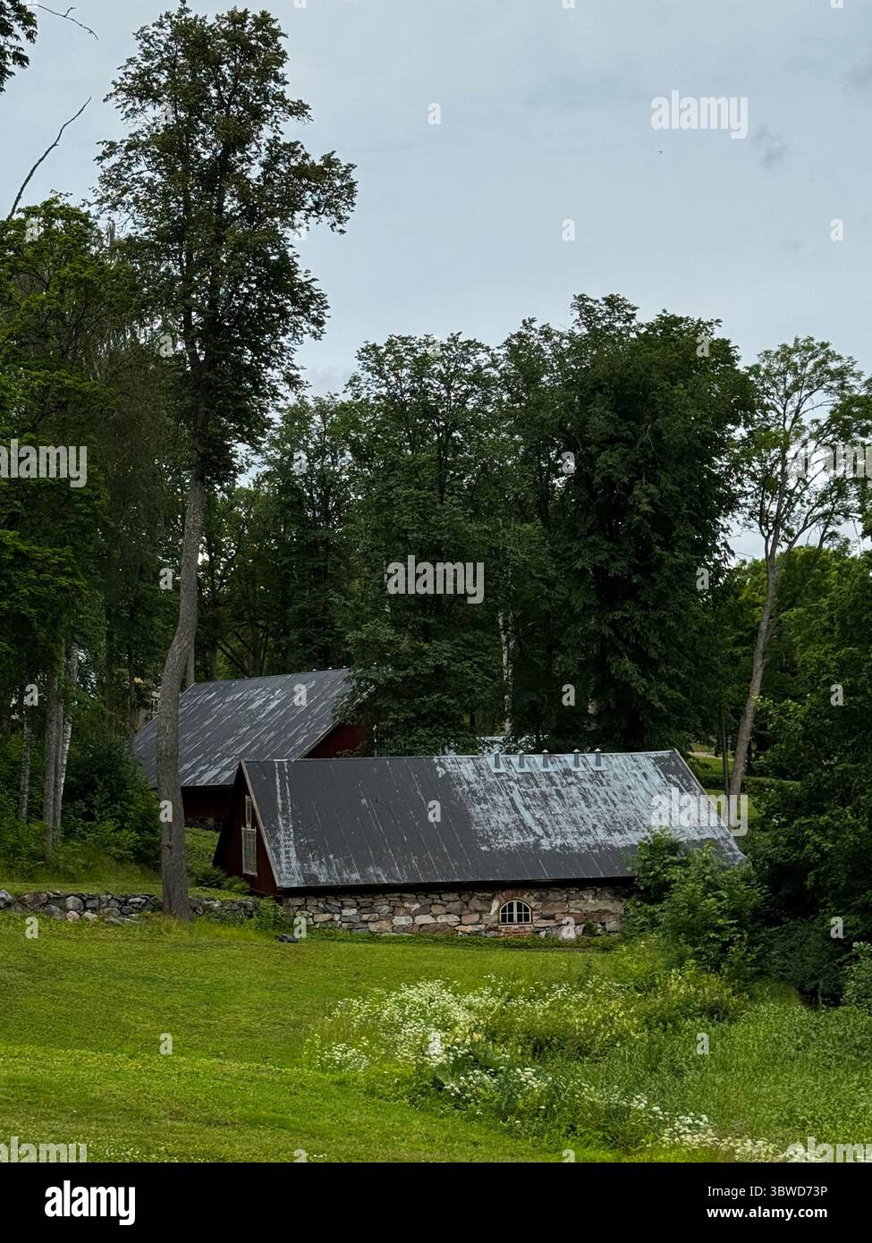 Old Stone Barn in Green Summer Field: Stone barn and wooden buildings in green summer field, Fagervik open air museum area, Inkoo. Echoes of Finland's - Smartphone Captured Stock Image