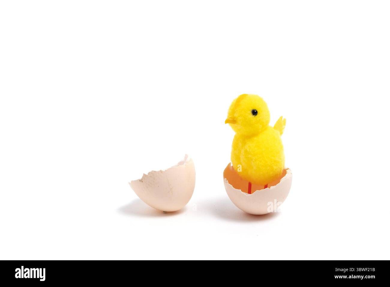 Easter egg and yellow chicken isolated on white background, easter concept Stock Photo