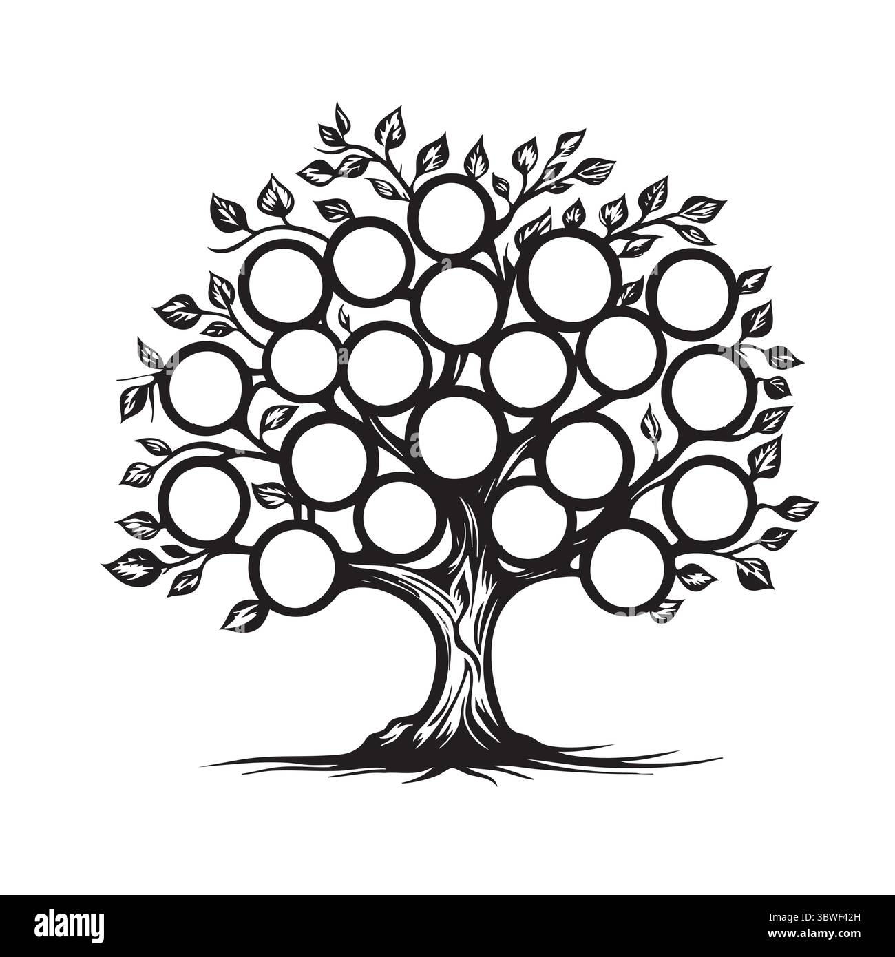 Genealogical family tree with blank spaces for writing names of family ...