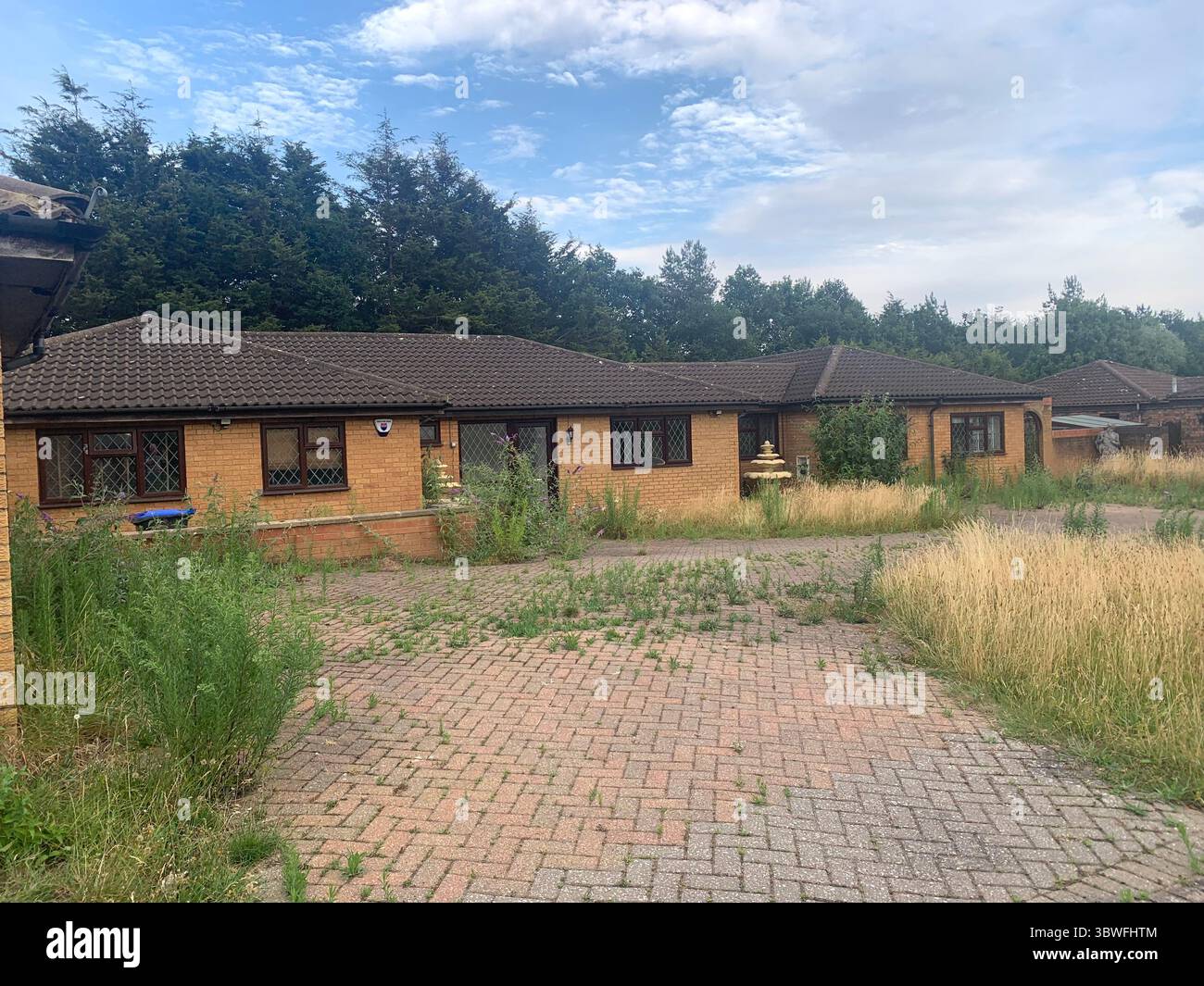 Bungalow Northampton Northamptonshire UK British old empty Councill property overgrown grass left big large drive front Northamptonshire UK British - Smartphone Captured Stock Image