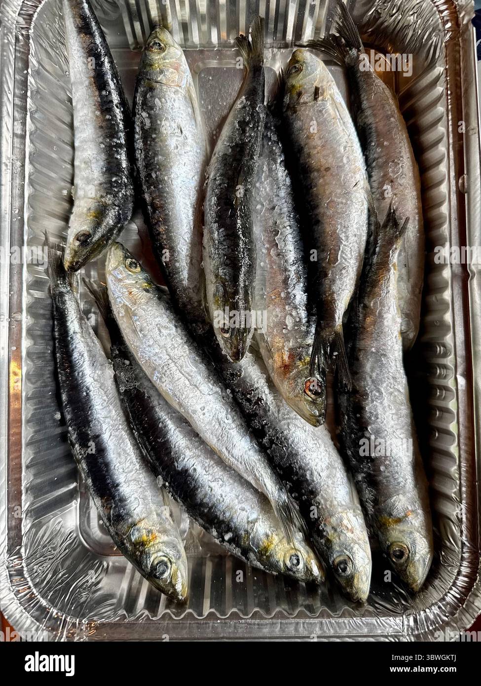 Fresh sardines arranged in a foil tray, ready for cooking or grilling - Smartphone Captured Stock Image