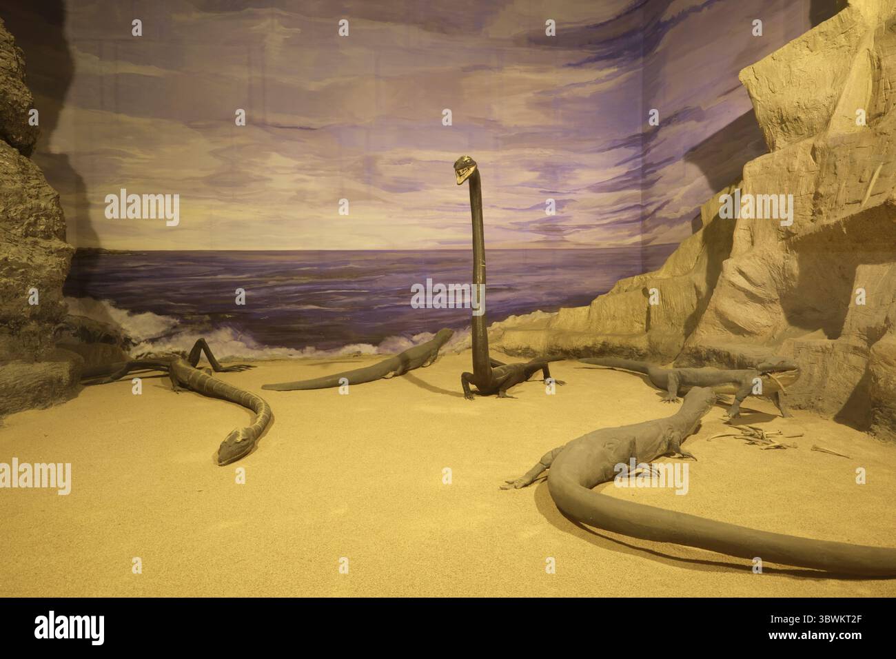 A tanystrophy, an ancient sort of lizard, reptile. A diorama at the ...