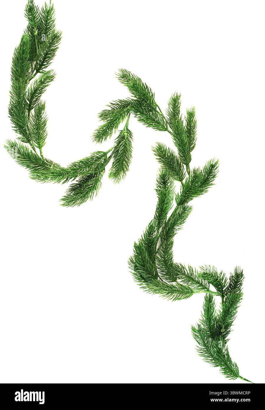 Perfect for decoration Cut Out Stock Images Pictures Alamy