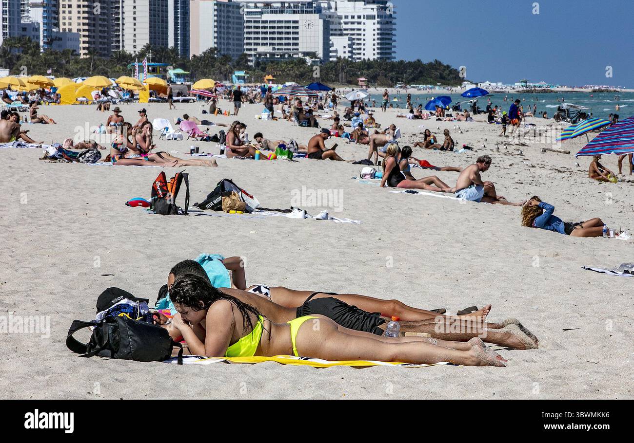 Vacaciones en miami beach hi-res stock photography and images - Alamy, image size:1300x910