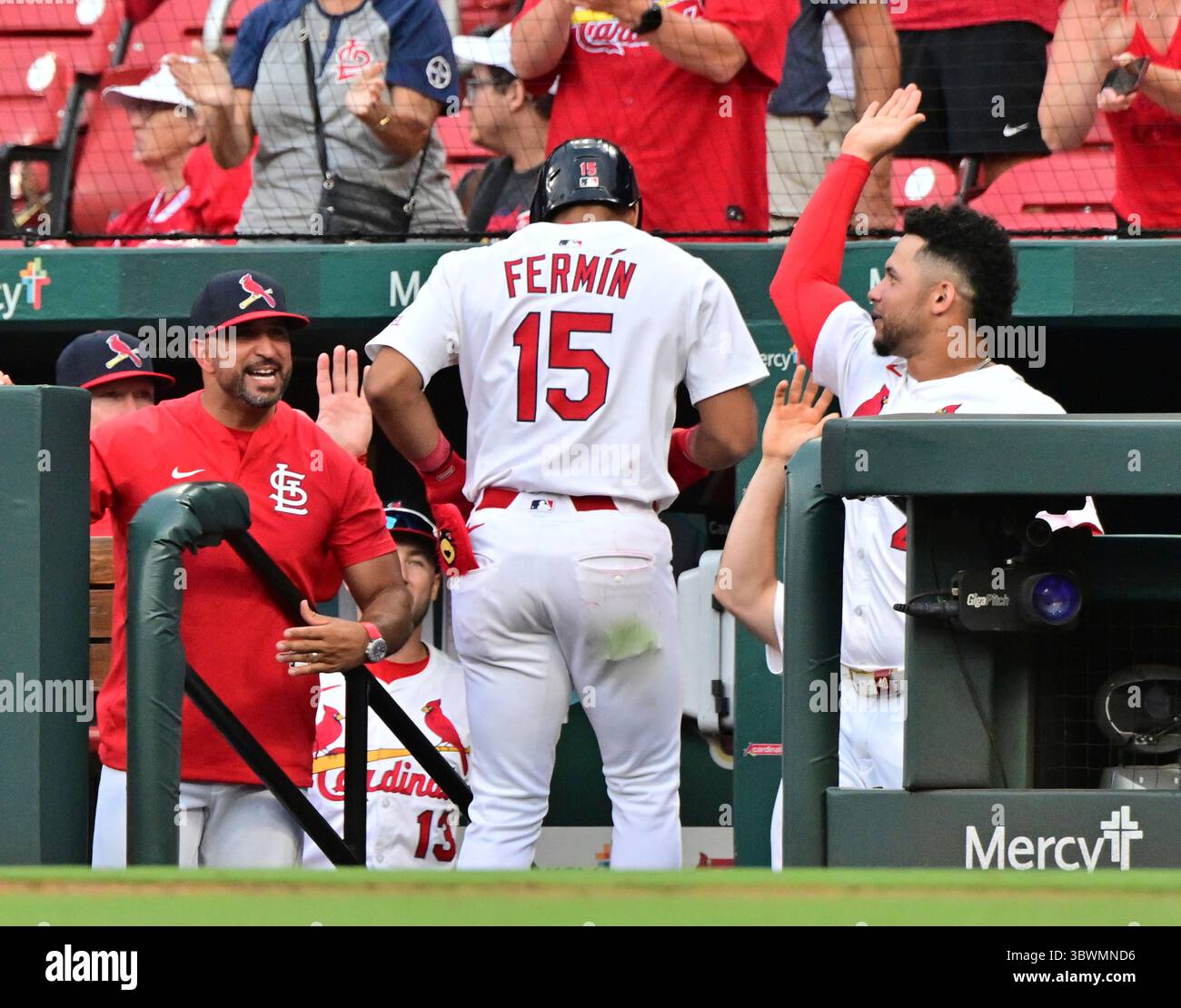 ST. LOUIS, MO - JUL 13: St. Louis Cardinals manager Olli Marmol ...
