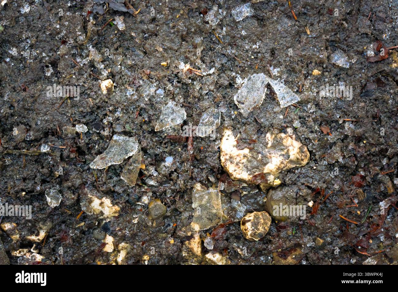 Frozen muddy forest ground with broken pieces of ice and small rocks. Close-up texture showing natural winter conditions on a woodland path. Stock Photo
