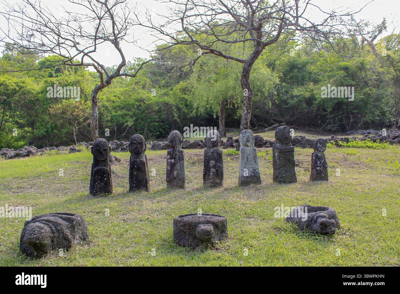 Old stone guardian statues and figures standing on a grassy field on Jeju Island, South Korea, surrounded by trees. Stock Photo