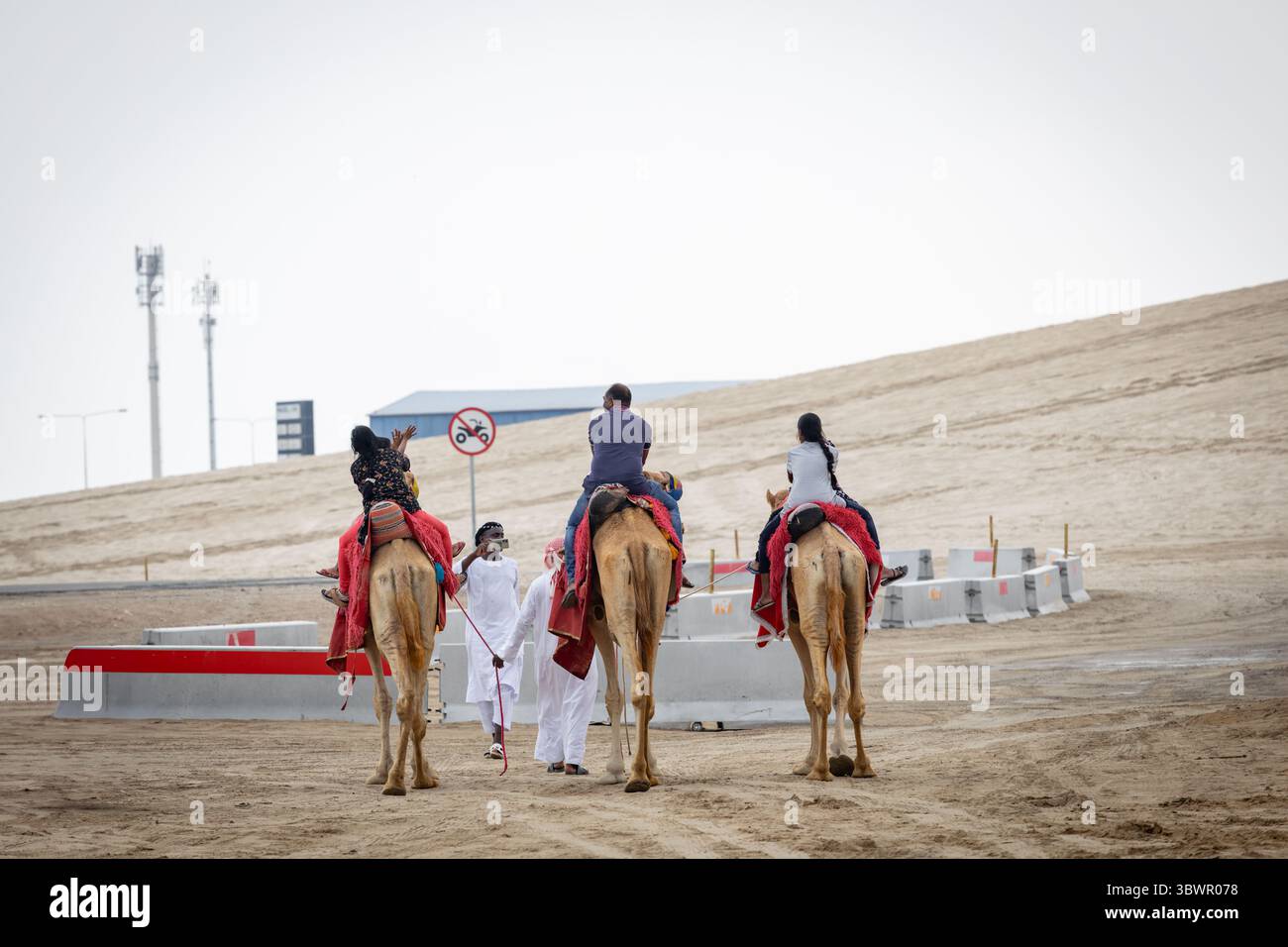 Tourists riding camels in the sealine dunes Qatar Stock Photo - Alamy