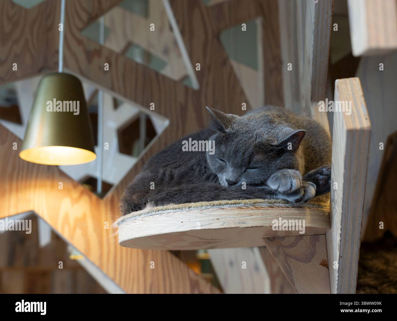 Tokyo icon hi-res stock photography and images - Alamy