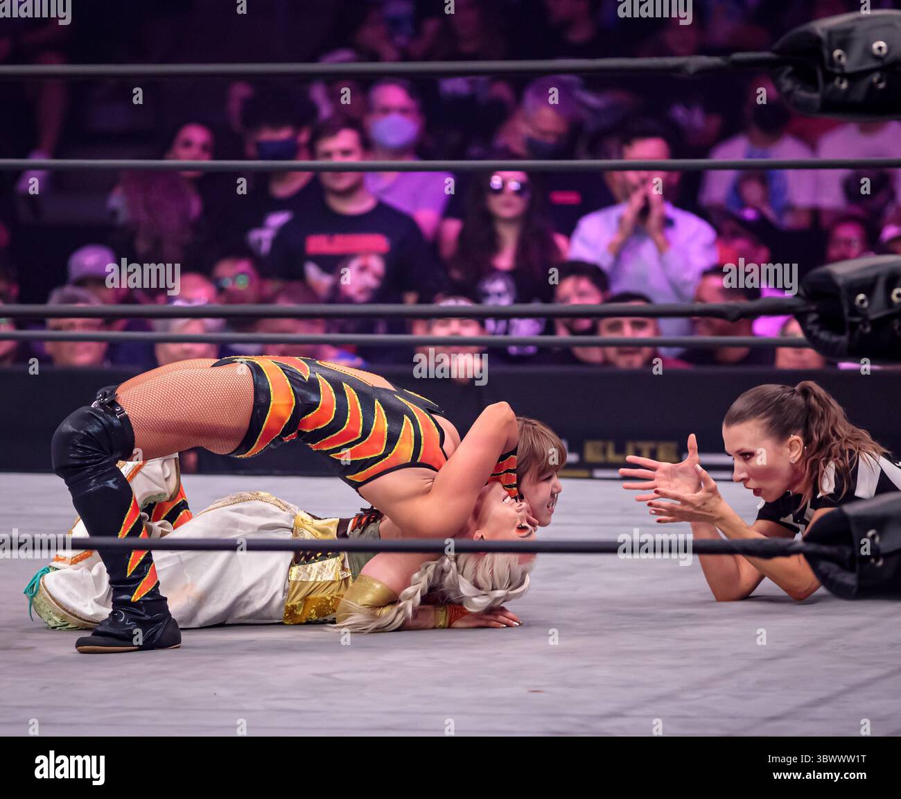 Yuka sakazaki hi-res stock photography and images - Alamy