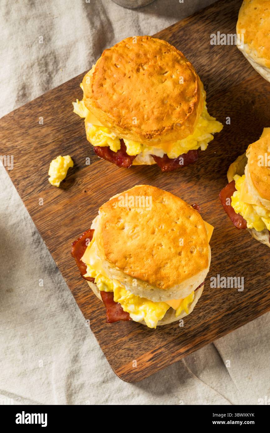 Greasy Bacon Egg and Cheese Buttermilk Biscuit Sandwich for Breakfast ...