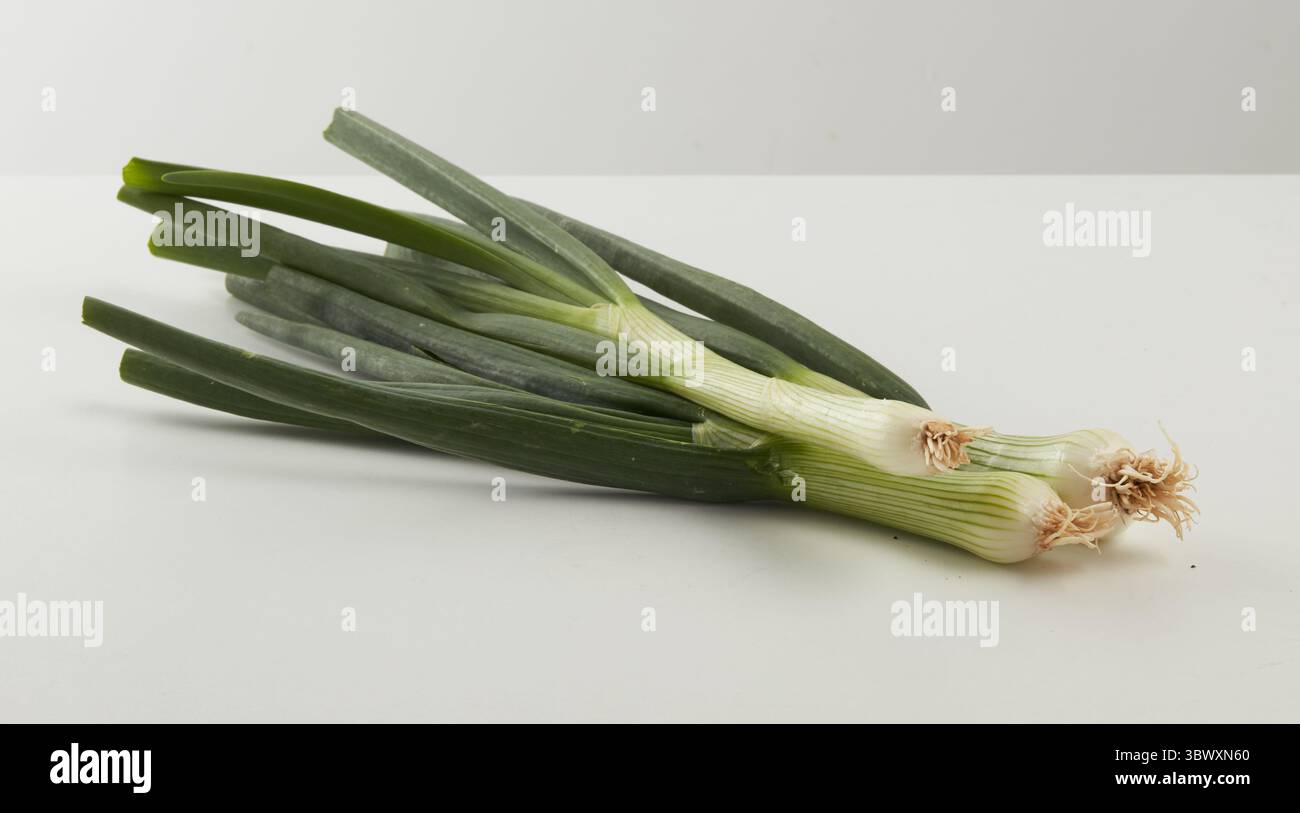 spring onion  isolated nature background with clipping path Stock Photo