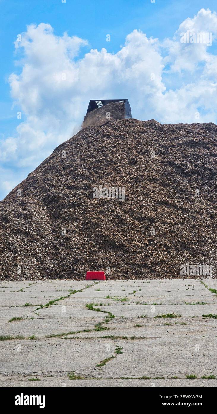 Loader Dumping Mulch on Industrial Wood Chip Pile - Smartphone Captured Stock Image