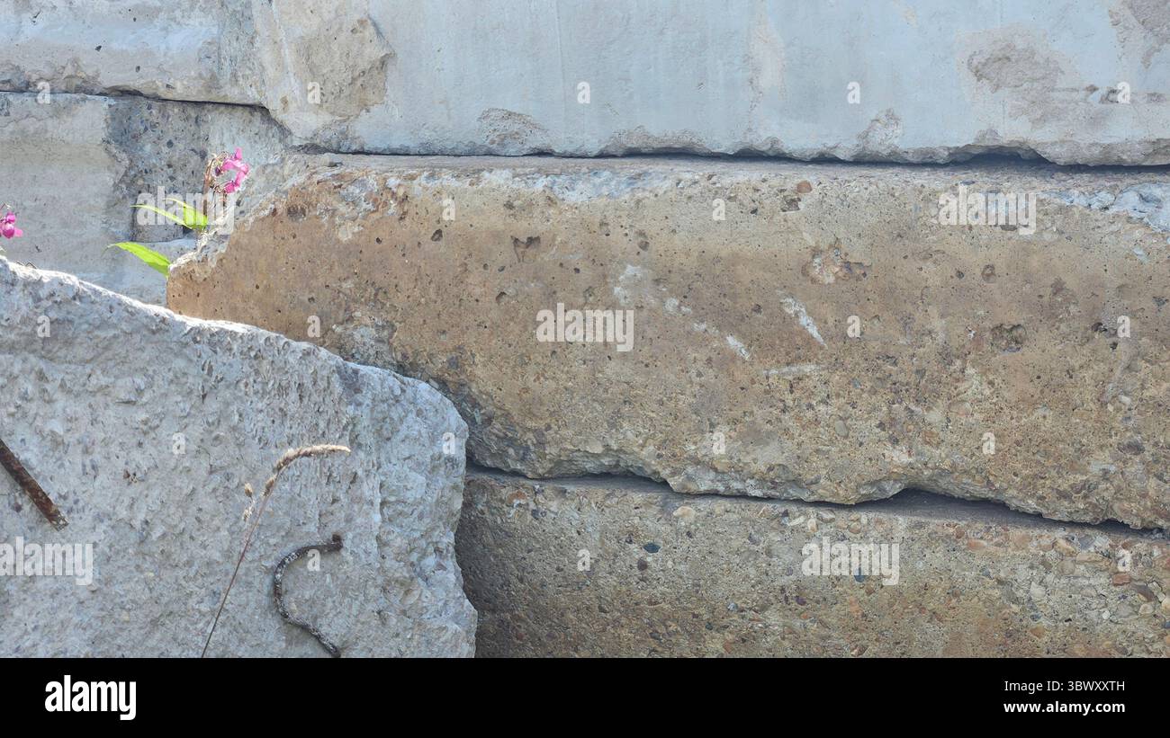 Abandoned Concrete Blocks in Overgrown Industrial Site - Smartphone Captured Stock Image