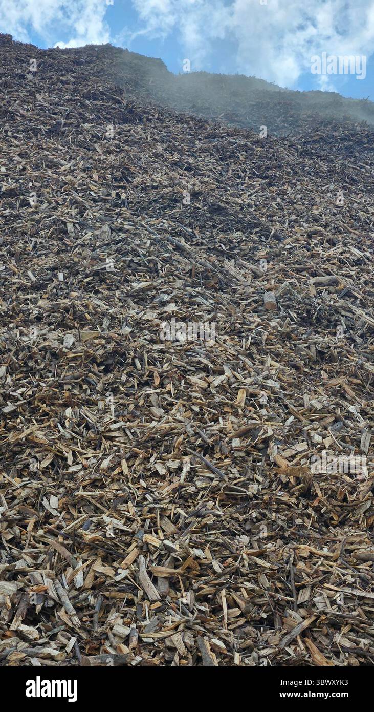 Massive Mulch Pile - Smartphone Captured Stock Image