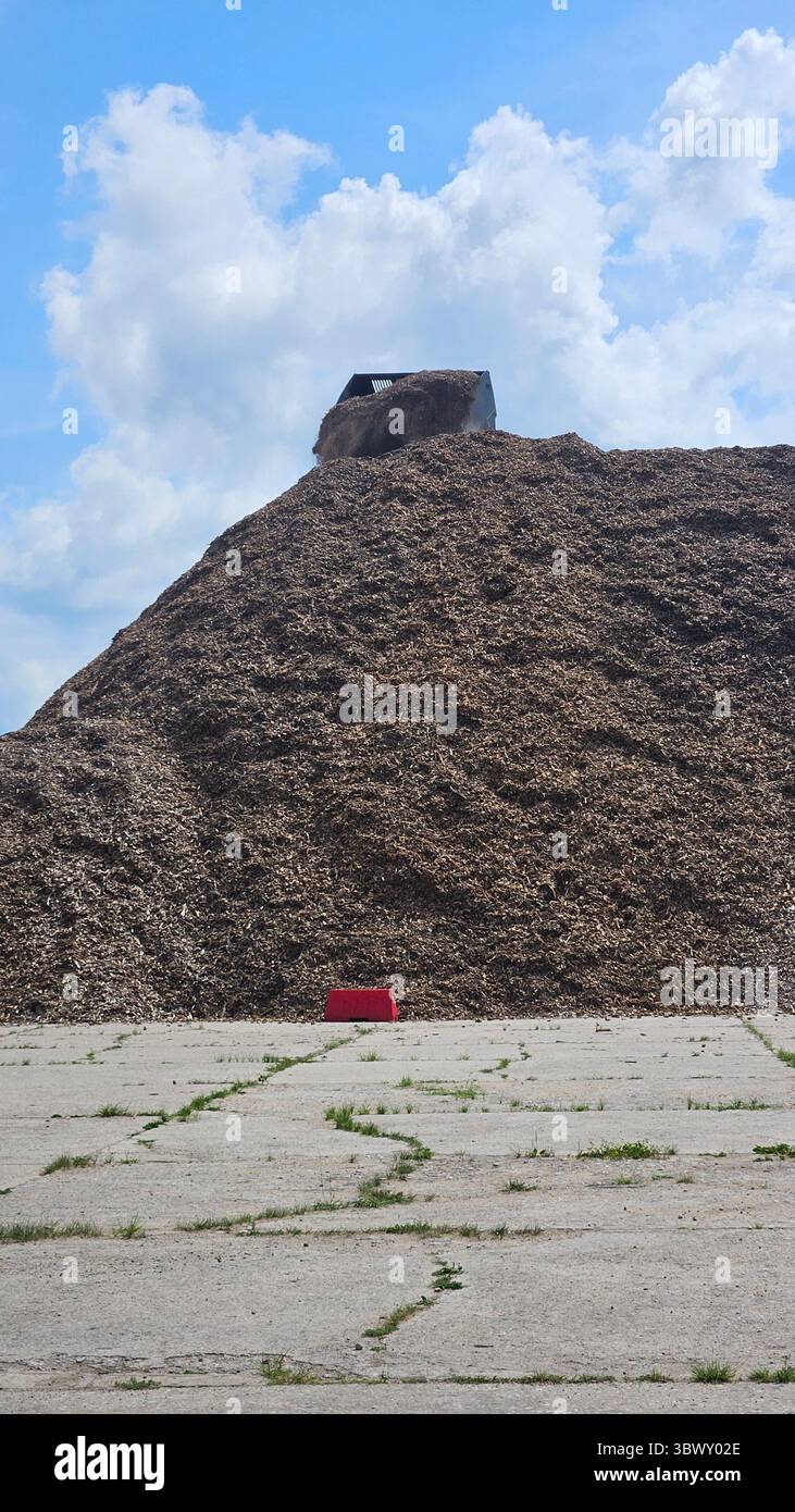 Loader Dumping Mulch on Industrial Wood Chip Pile - Smartphone Captured Stock Image