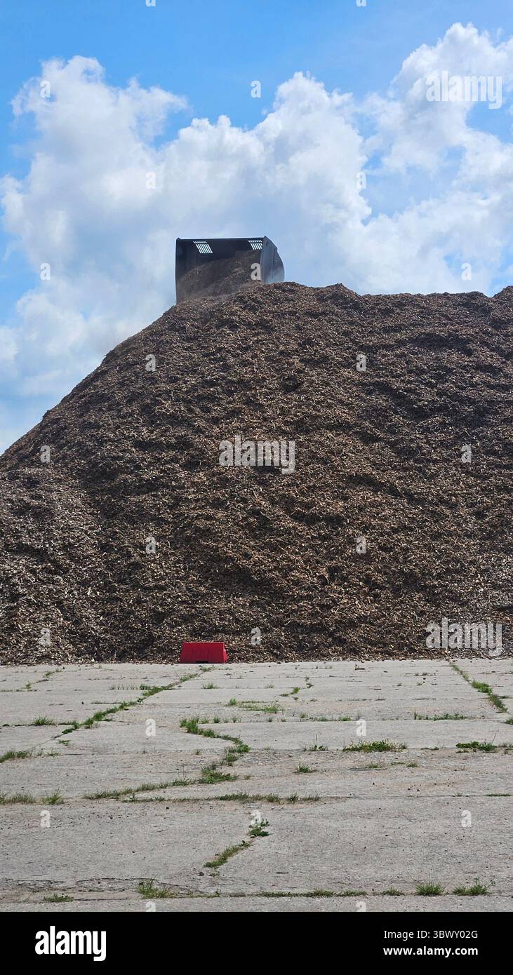 Loader Dumping Mulch on Industrial Wood Chip Pile - Smartphone Captured Stock Image