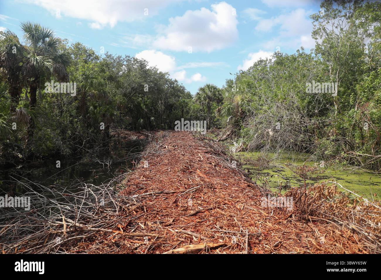 Southwest florida water management district hi-res stock photography and  images - Alamy